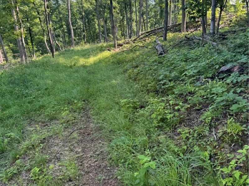 Stone Quarry Road, Danville, OH 43014 Photo 50