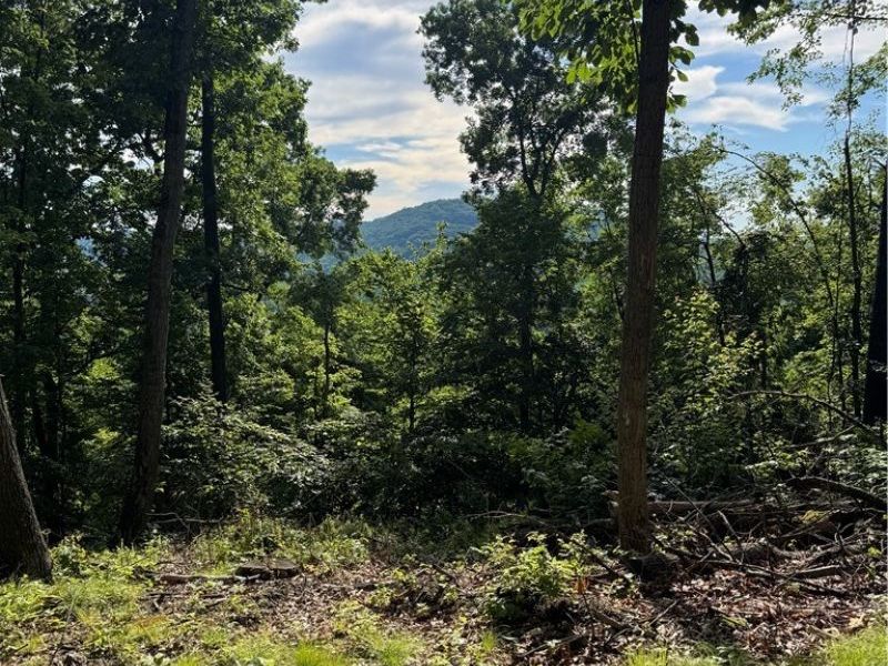 Stone Quarry Road, Danville, OH 43014 Photo 6