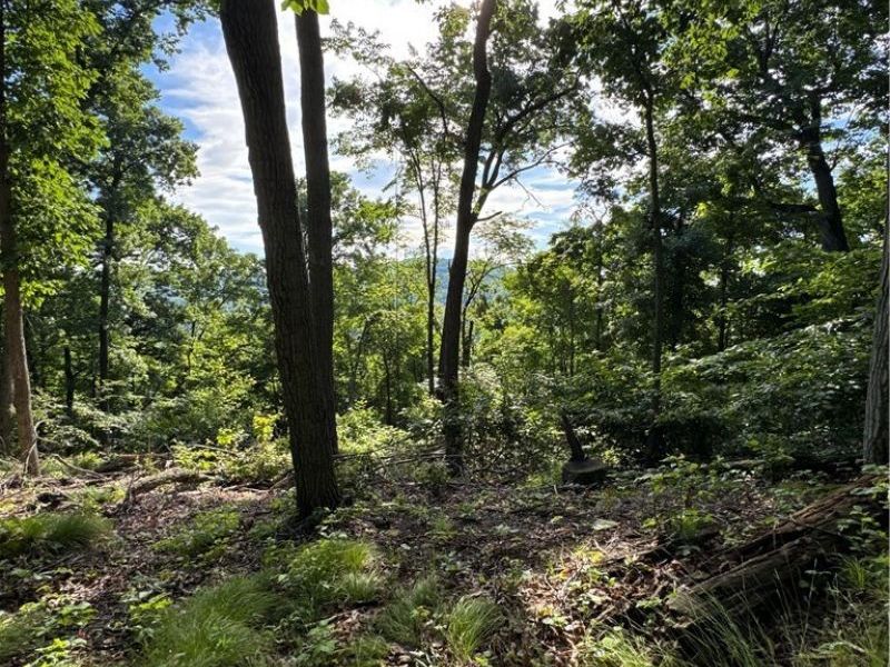 Stone Quarry Road, Danville, OH 43014 Photo 7