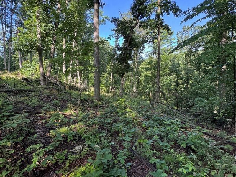 Stone Quarry Road, Danville, OH 43014 Photo 9
