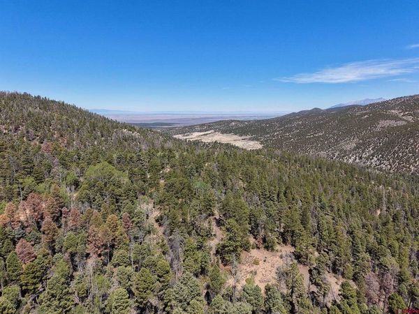 6031 Bruce Road, Fort Garland, CO 81133