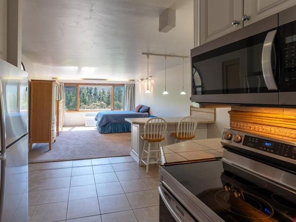 314 N Tamarron Drive, Durango, CO 81301