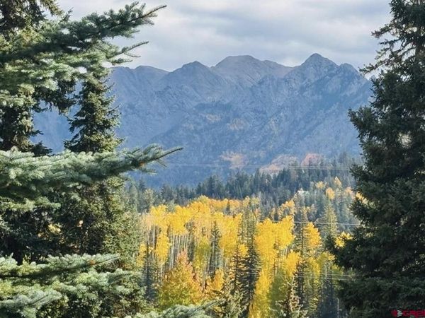 166 Yankee Girl Ct., Durango, CO 81301