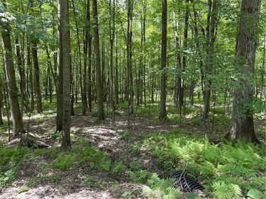 Skip Gray Road , Downsville, NY 13752