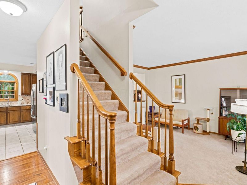 691 Westray Drive, Westerville, OH 43081 Photo 6