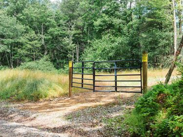 TBD Eagles Nest Road, Bruceton Mills, WV 26525