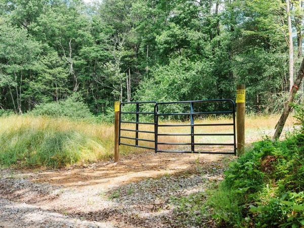 TBD Eagles Nest Road, Bruceton Mills, WV 26525