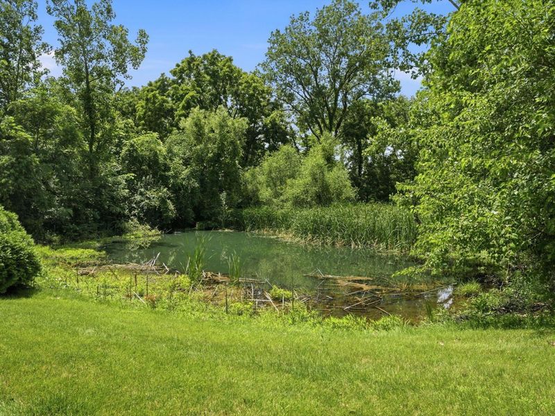 7504 Crossing Place, Lewis Center, OH 43035 Photo 3