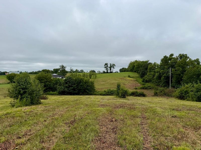 9A Walnut Grove Road, Carlisle, KY 40311 Photo 10