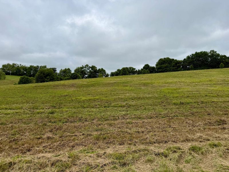 9A Walnut Grove Road, Carlisle, KY 40311 Photo 11