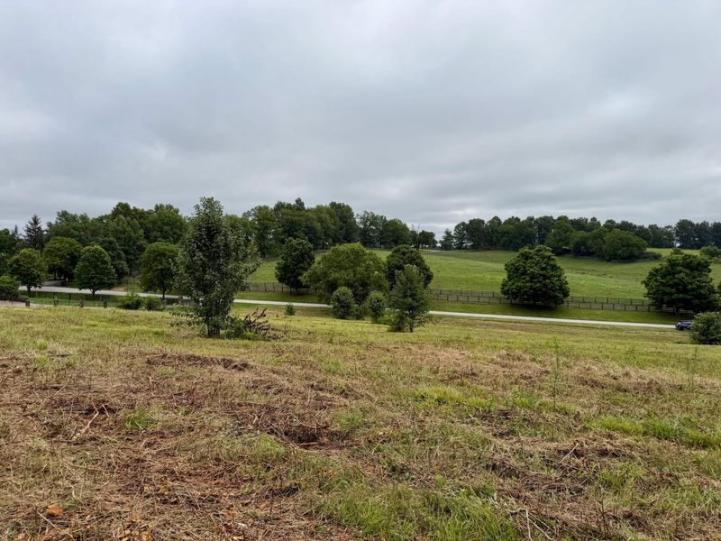9A Walnut Grove Road, Carlisle, KY 40311 Photo 12