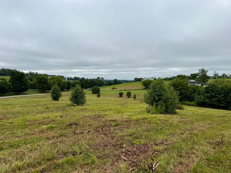 9A Walnut Grove Road, Carlisle, KY 40311 Photo 13