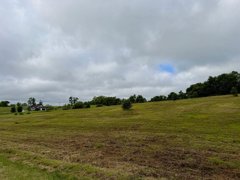 9A Walnut Grove Road, Carlisle, KY 40311 Photo 14