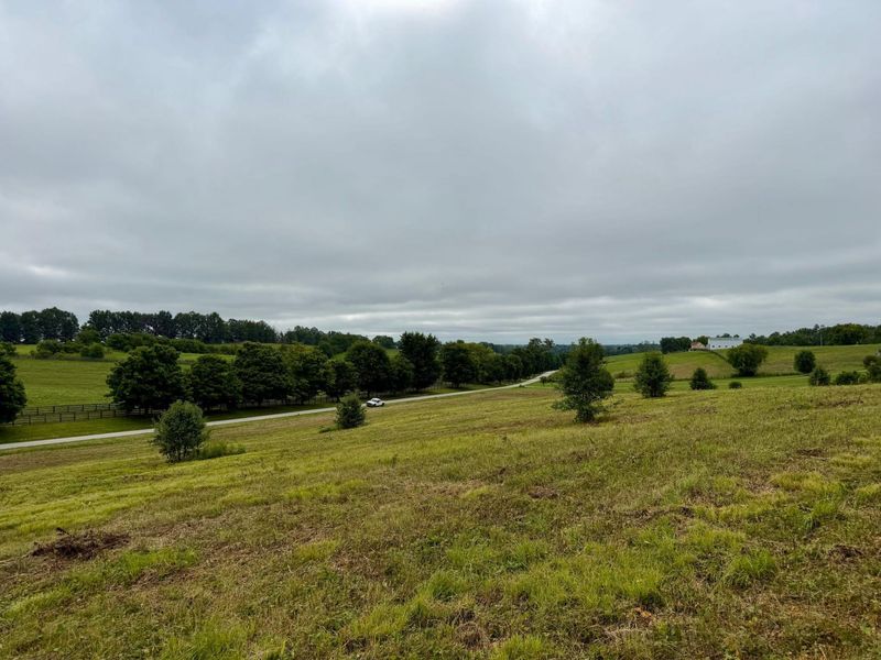 9A Walnut Grove Road, Carlisle, KY 40311 Photo 15