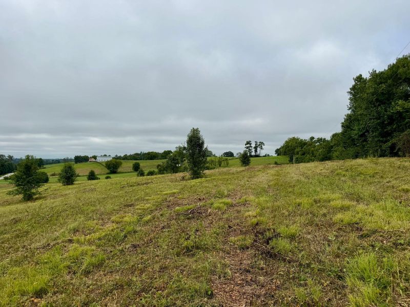 9A Walnut Grove Road, Carlisle, KY 40311 Photo 16