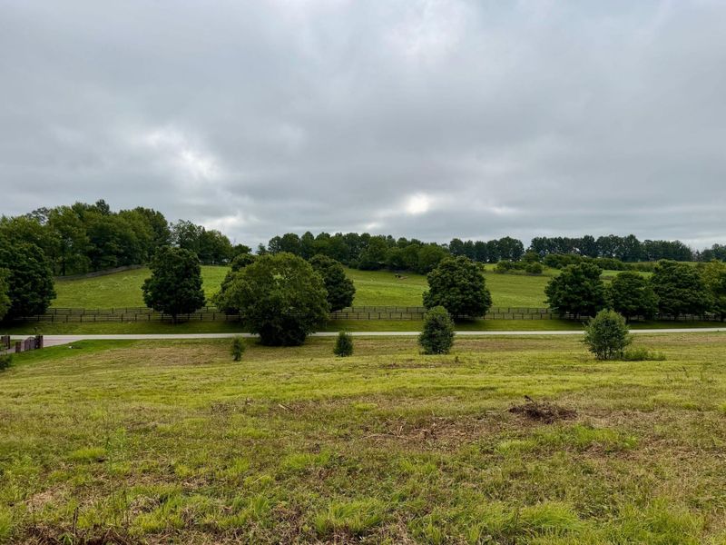 9A Walnut Grove Road, Carlisle, KY 40311 Photo 6