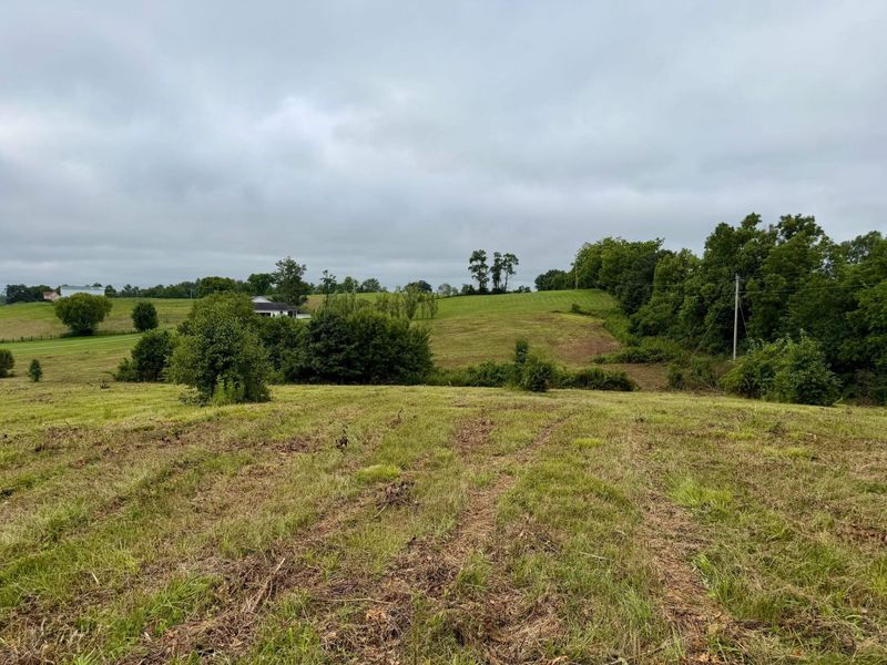 9A Walnut Grove Road, Carlisle, KY 40311 Photo 7