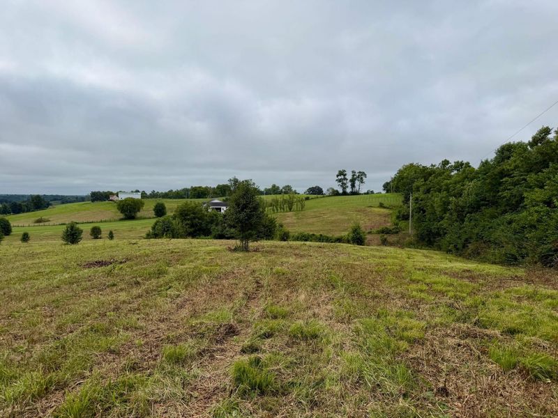 9A Walnut Grove Road, Carlisle, KY 40311 Photo 8