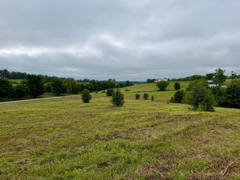 9A Walnut Grove Road, Carlisle, KY 40311 Photo 9