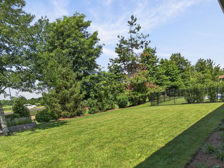 Property Image 54