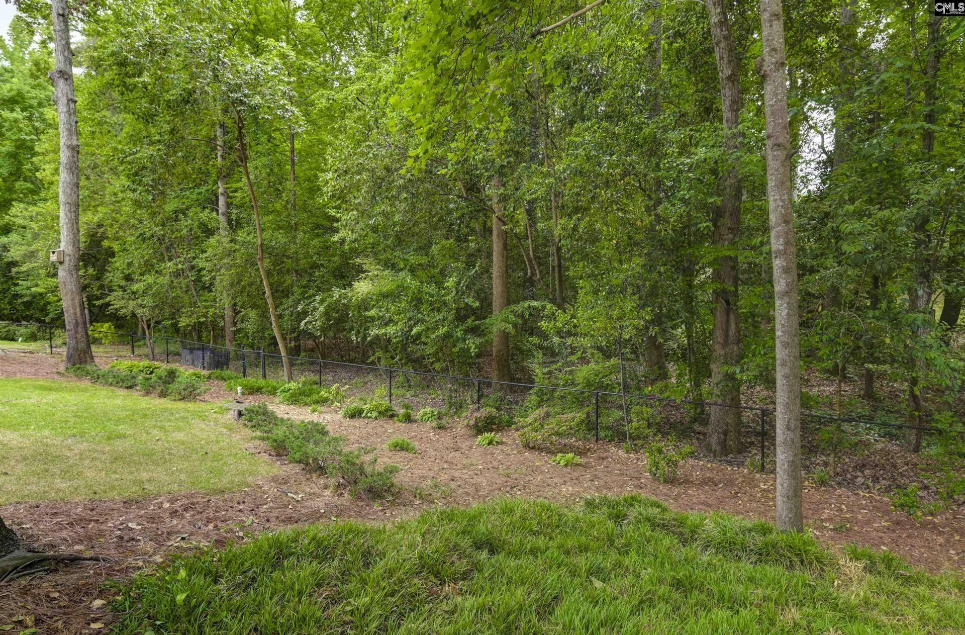 412 Ivy Green Lane Photo 47