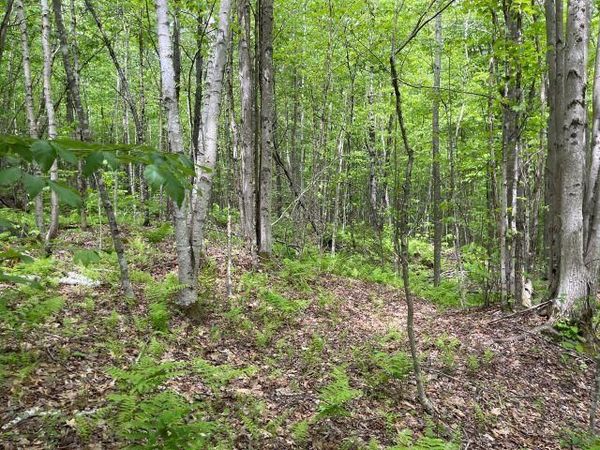 Dole School House Road, Washington, NH 03280
