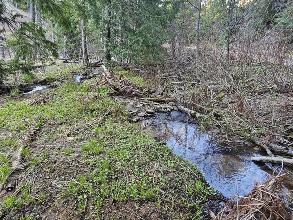 NKA Alder Way , St. Maries, ID 83861
