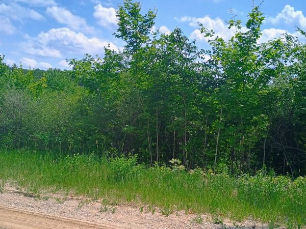 000 Pontius Road SE, Kalkaska, MI 49646