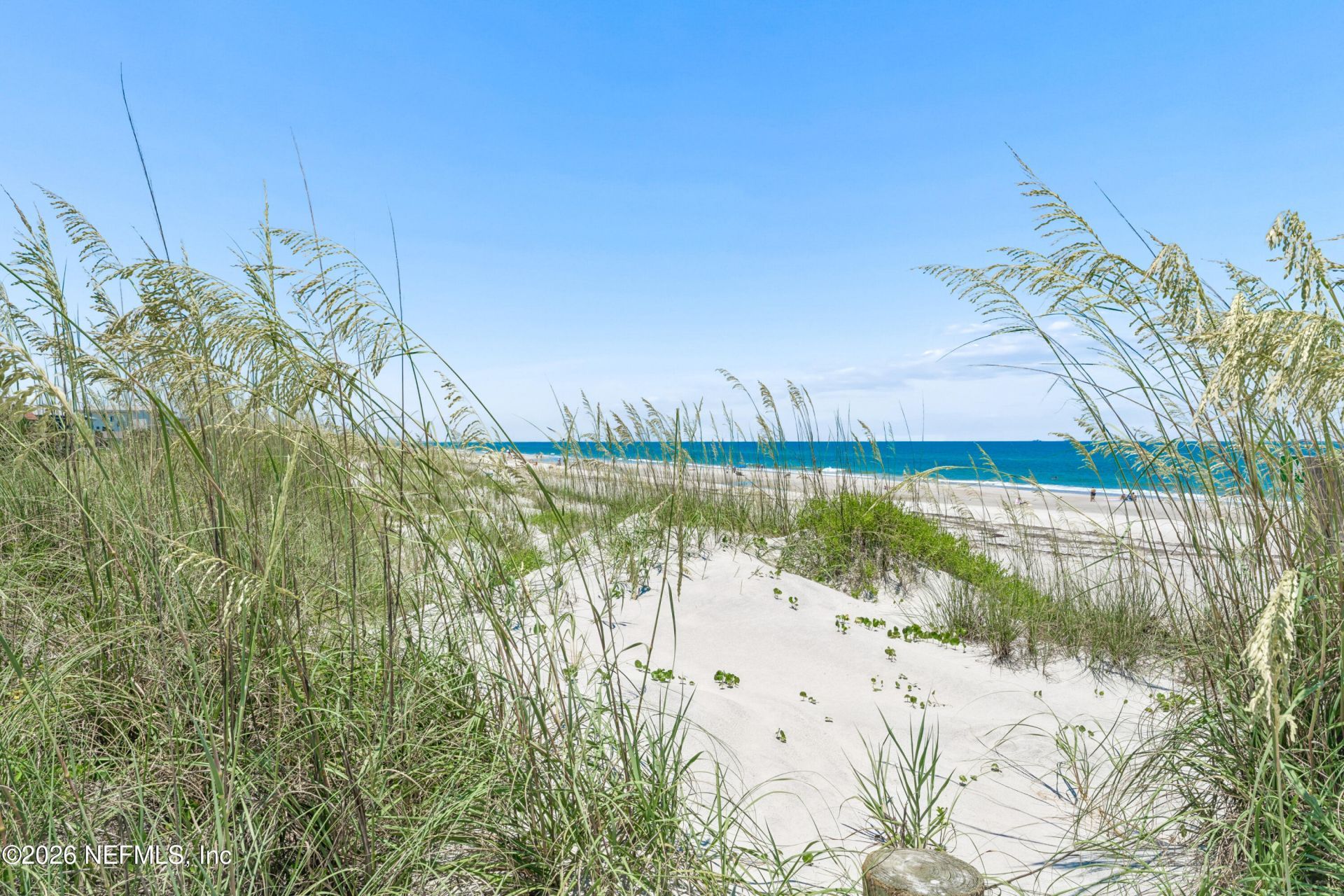 1924 Oceanfront, Neptune Beach, FL 32266 Photo