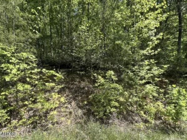 Lot 81 Yellowwood Drive, Sevierville, TN 37876