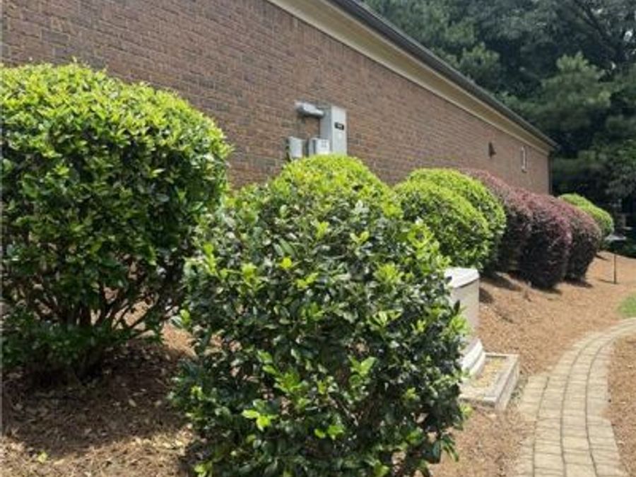 Property Image 61