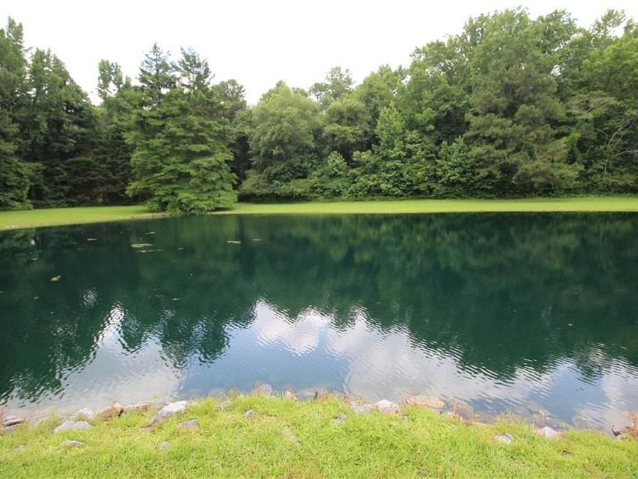 Property Image 73