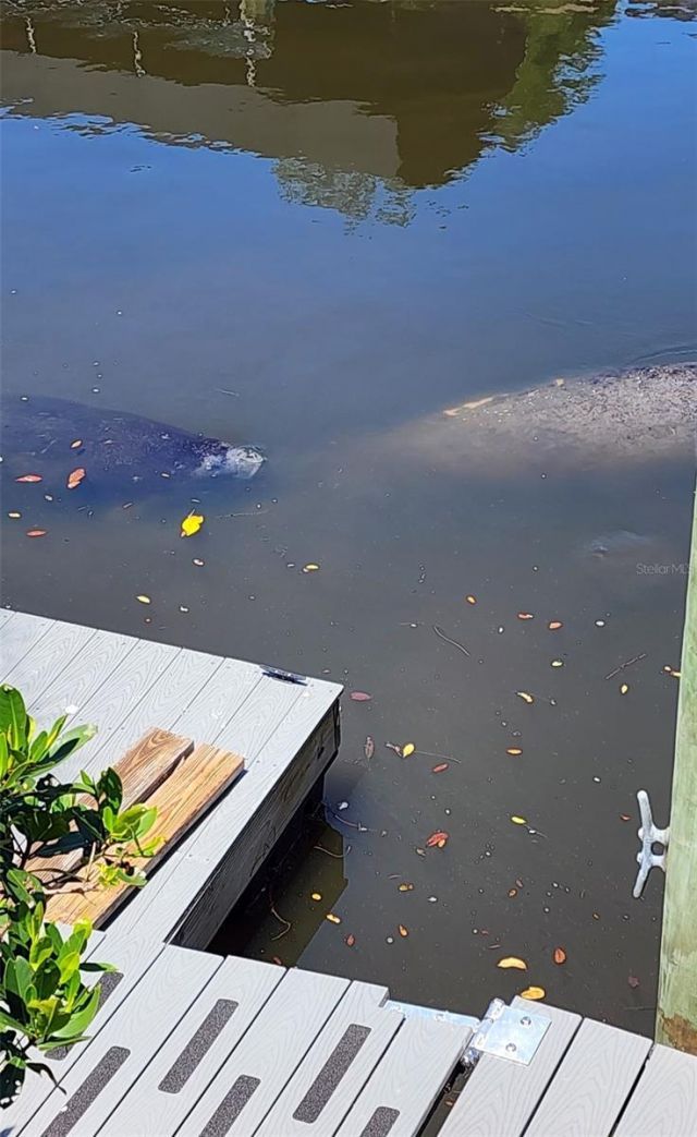 360 46th Court E, Bradenton, FL 34208 Photo