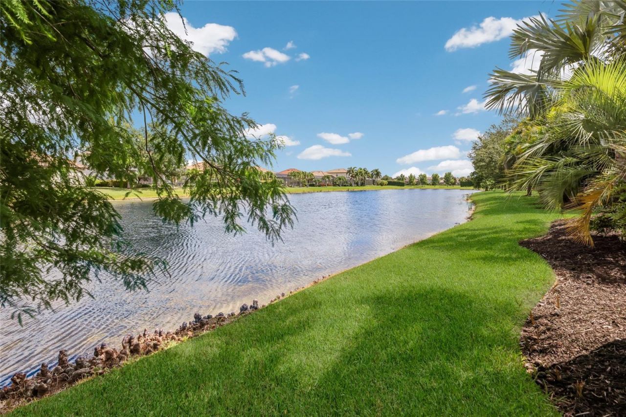 13017 Ramblewood Trail, Bradenton, FL 34211 Photo
