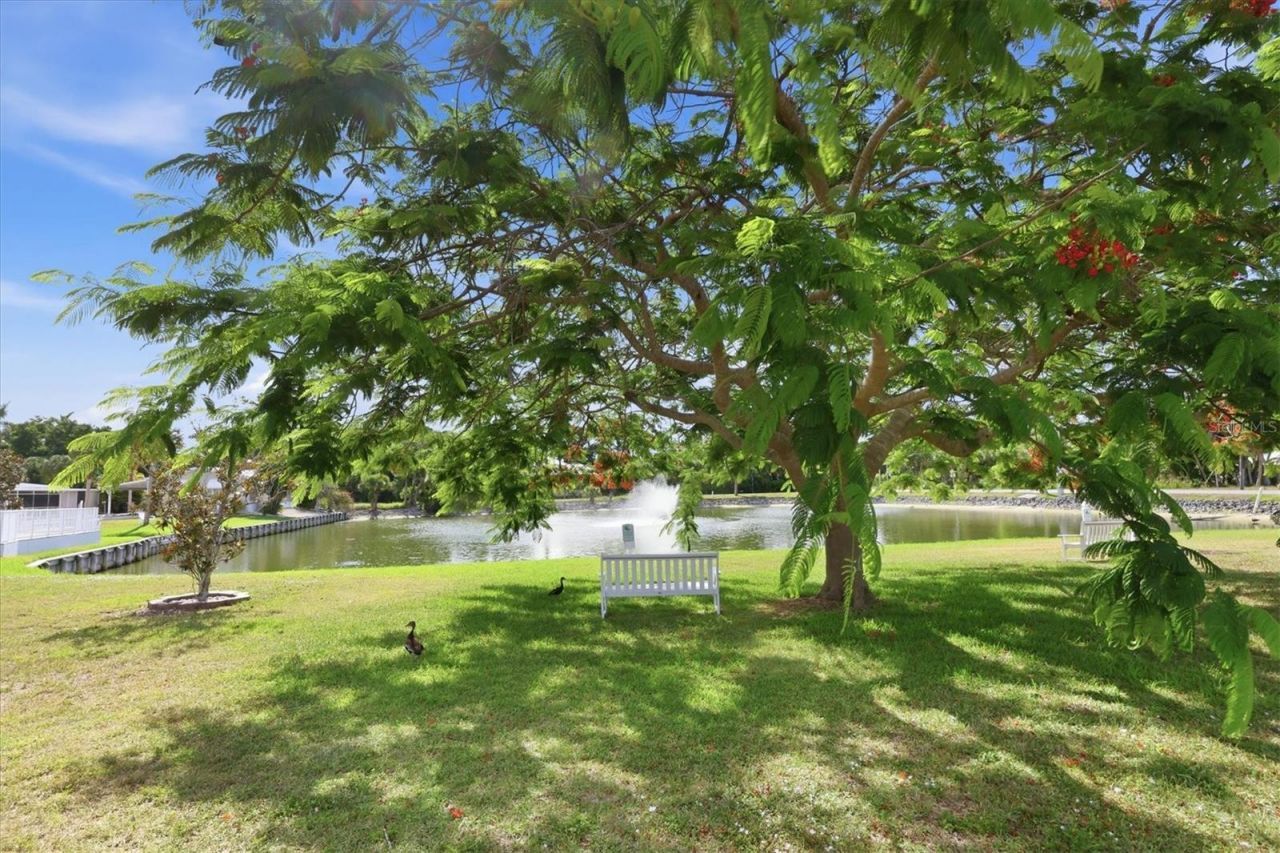5920 Teahouse Road, Venice, FL 34293 Photo