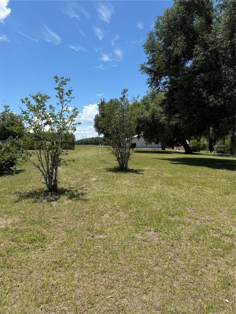 7390 180th Street, Mc Alpin, FL 32062 Photo