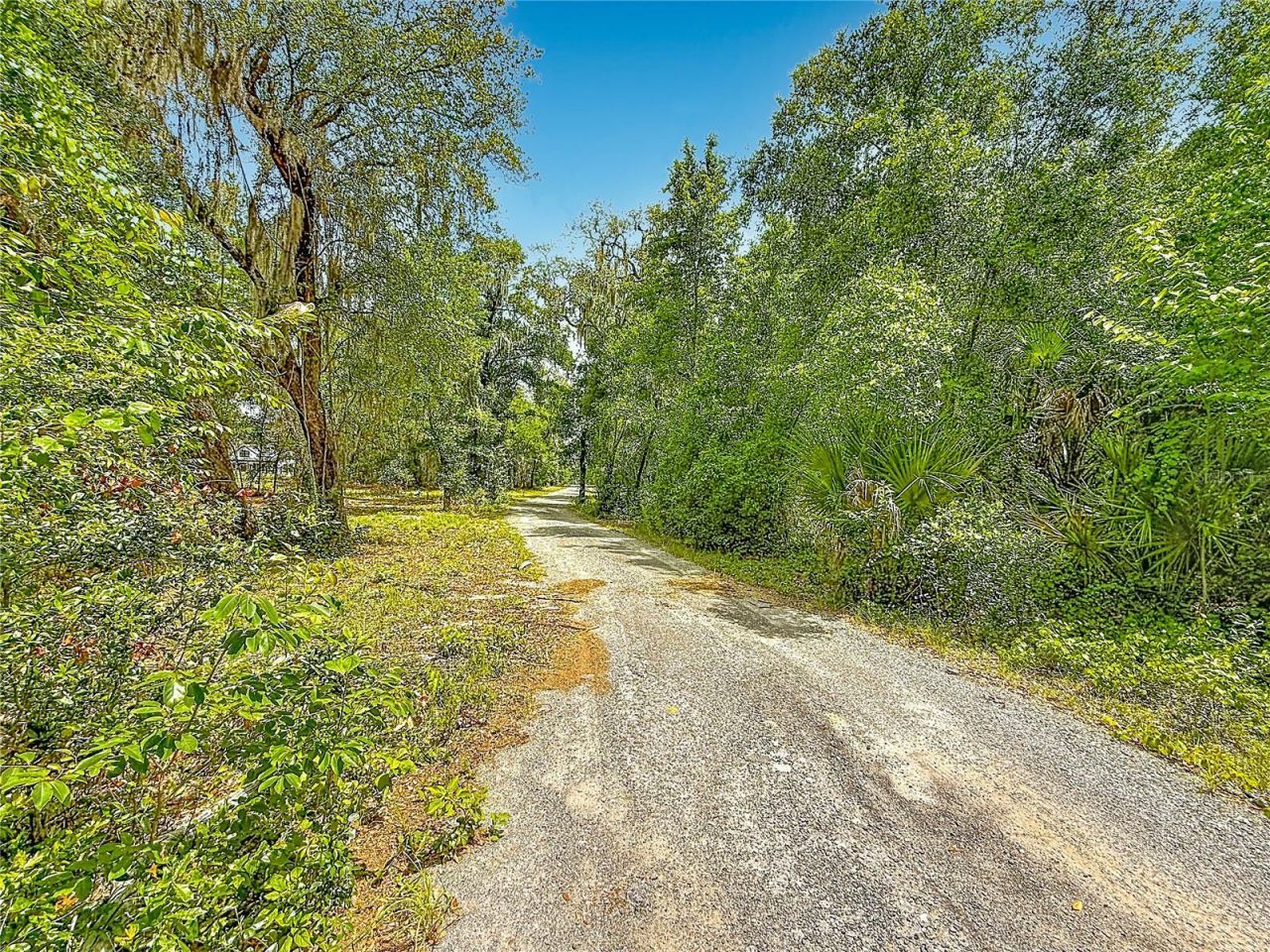 44524 Cross Country Boulevard , Altoona, FL 32702 Photo