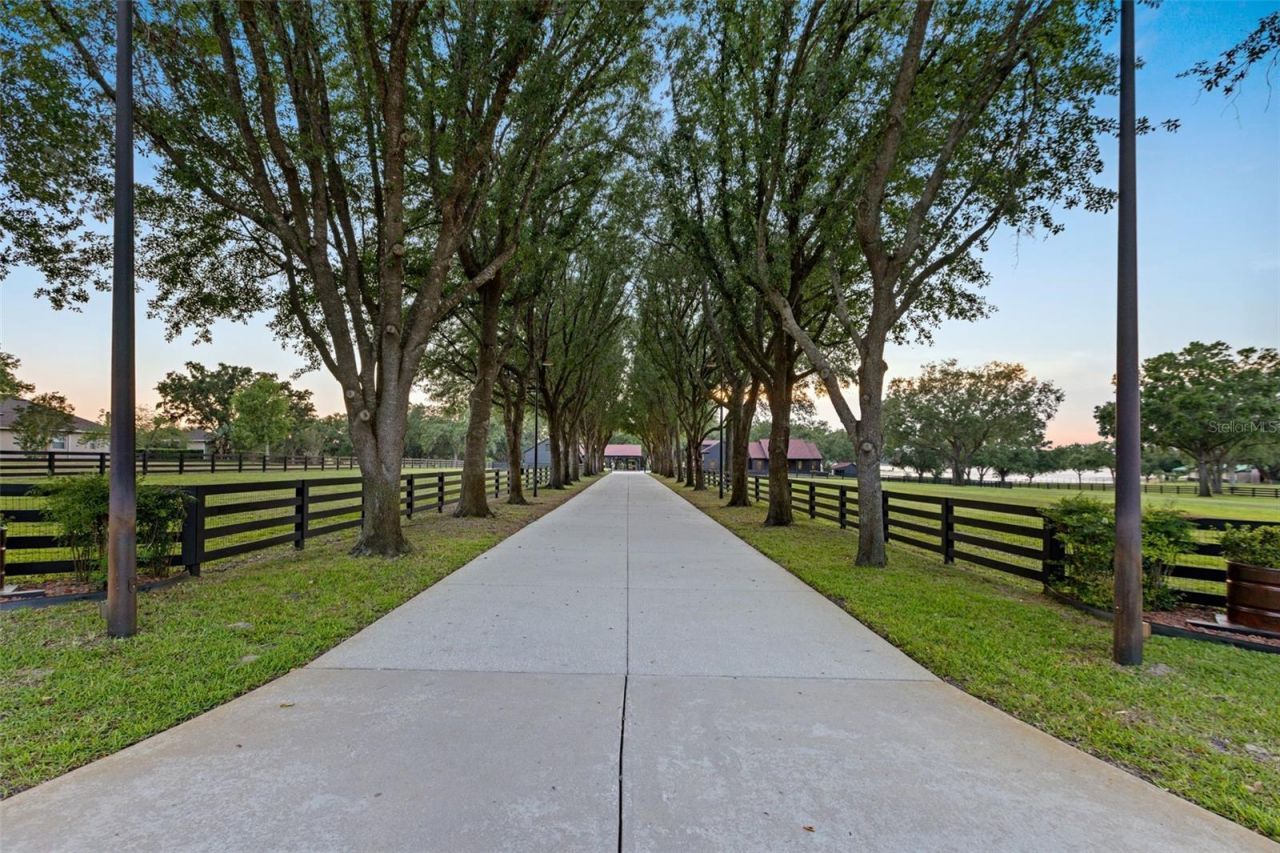 9751 Quiet Lane, Winter Garden, FL 34787 Photo