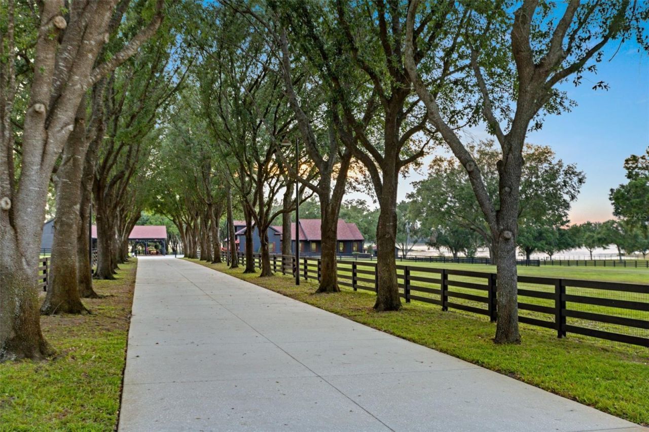 9751 Quiet Lane, Winter Garden, FL 34787 Photo