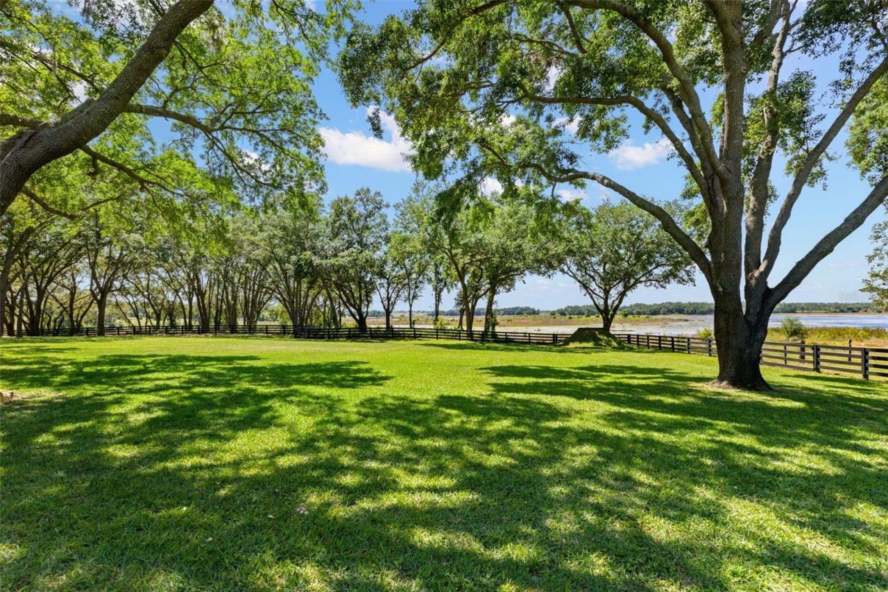 9751 Quiet Lane, Winter Garden, FL 34787 Photo