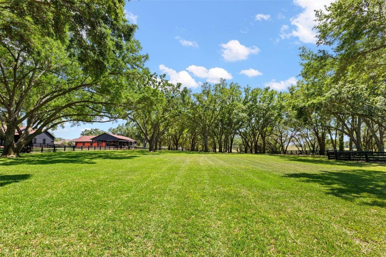 9751 Quiet Lane, Winter Garden, FL 34787 Photo