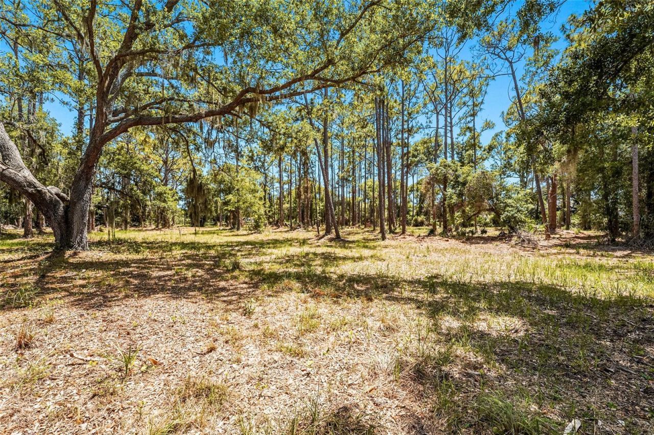 5650 Churchill Downs Road, Sarasota, FL 34241 Photo