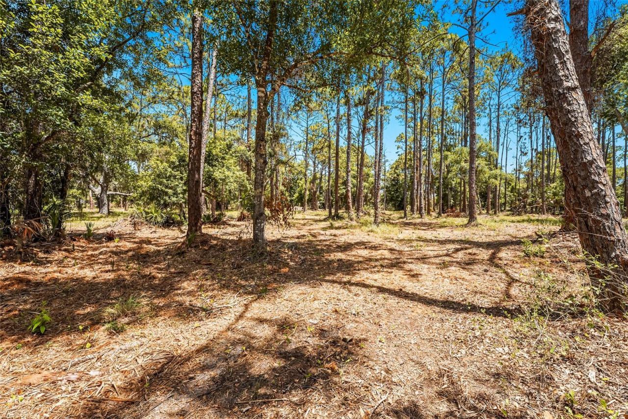 5650 Churchill Downs Road, Sarasota, FL 34241 Photo