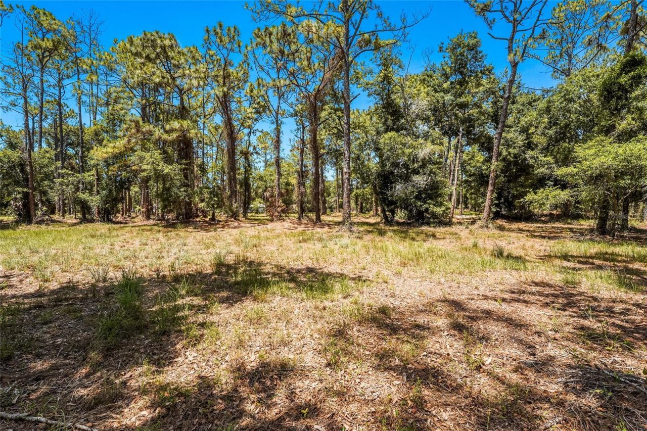5650 Churchill Downs Road, Sarasota, FL 34241 Photo