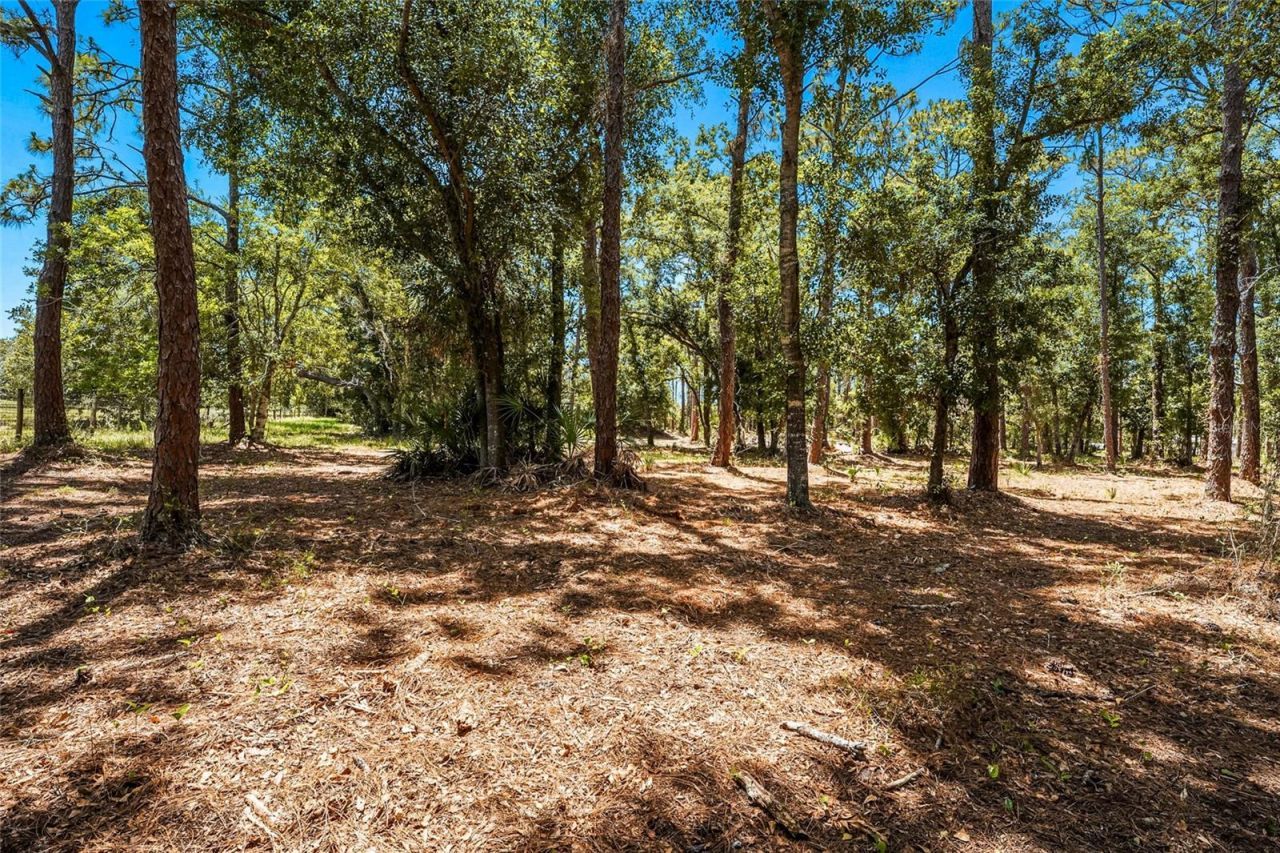 5650 Churchill Downs Road, Sarasota, FL 34241 Photo