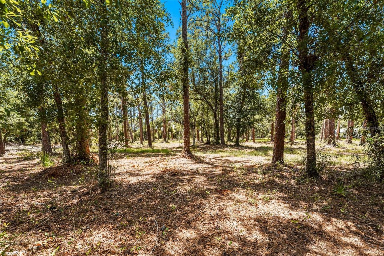5650 Churchill Downs Road, Sarasota, FL 34241 Photo