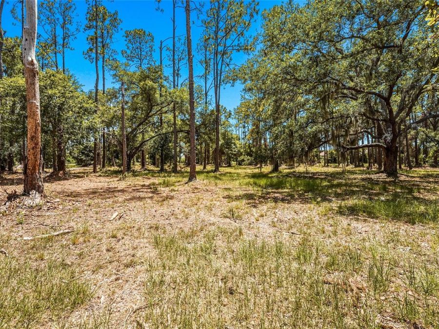 Property Image 100