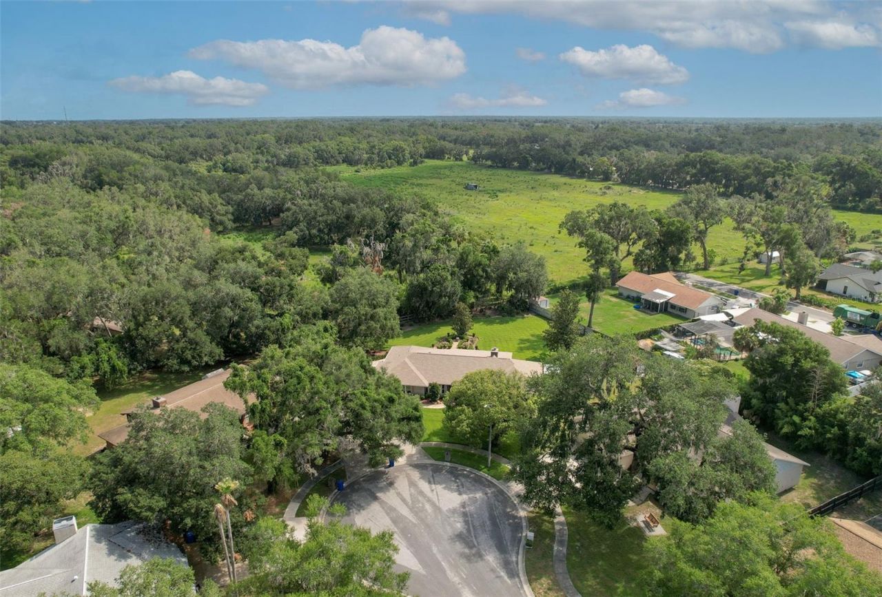 2102 Whitlock Place , Dover, FL 33527 Photo
