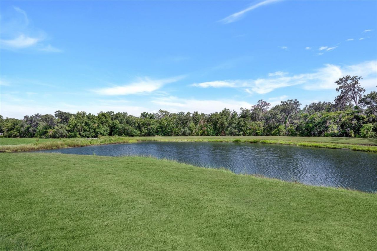 5842 Fishhawk Ridge Drive , Lithia, FL 33547 Photo