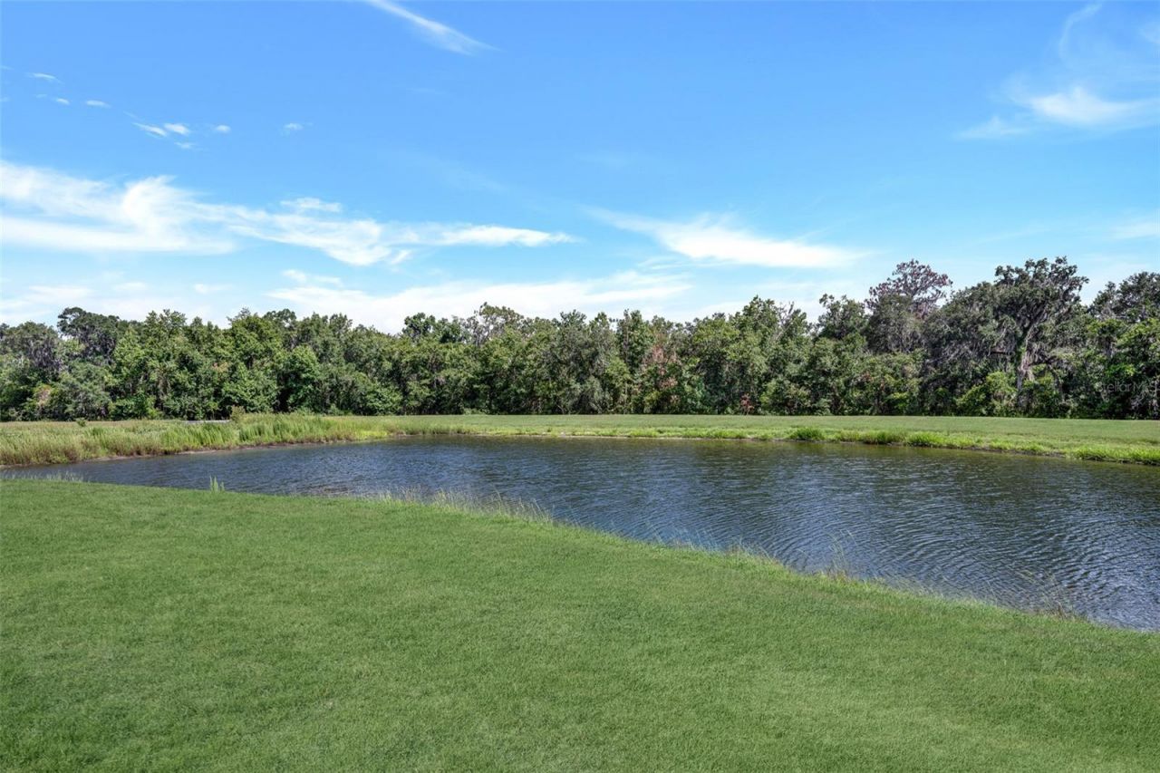 5842 Fishhawk Ridge Drive , Lithia, FL 33547 Photo